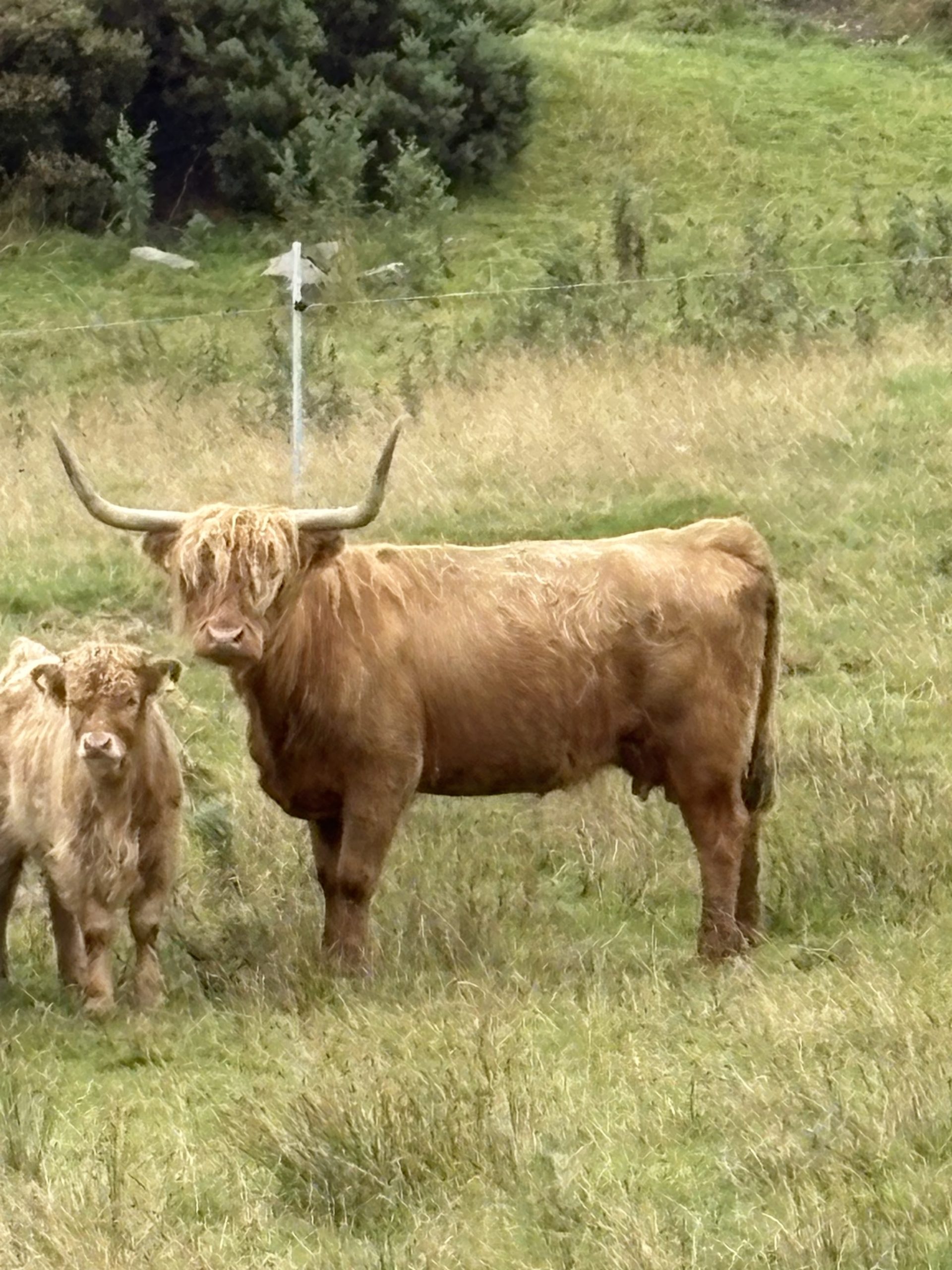 Open Galloway countryside in daylight