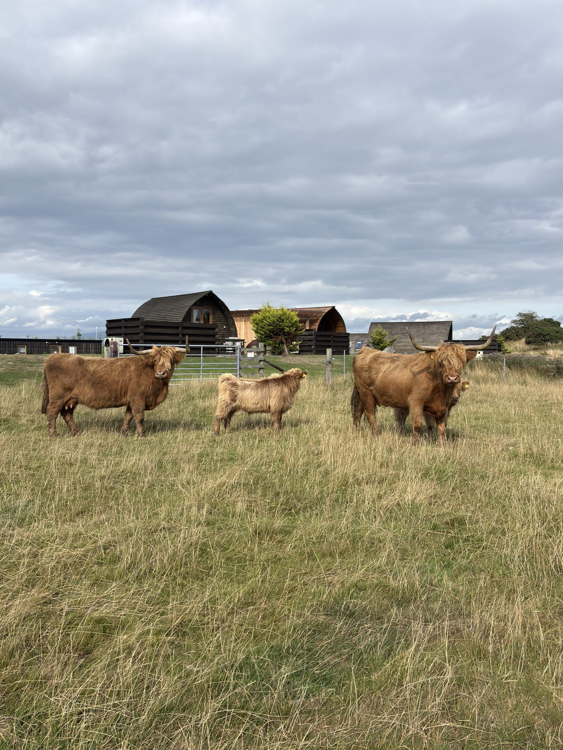 The farm and its wider landscape above Port William
